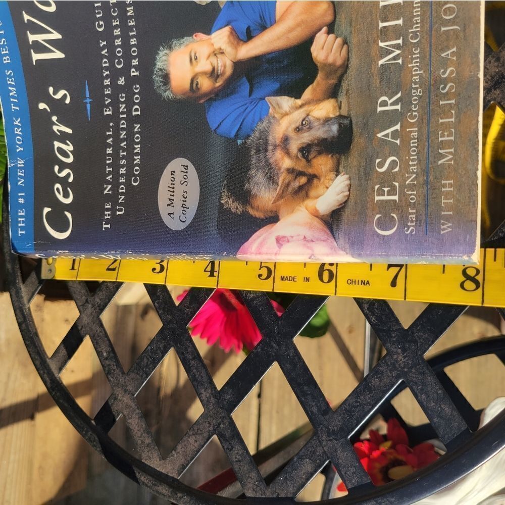 Cesar Millan Book‎ - Picture 8 of 8